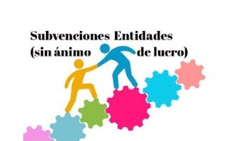 Subvenciones Entidades sin Ánimo de Lucro