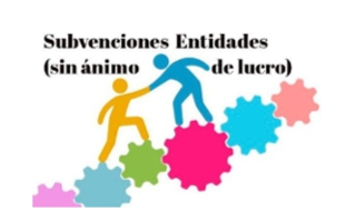 Subvenciones Entidades (Sin ánimo de lucro)