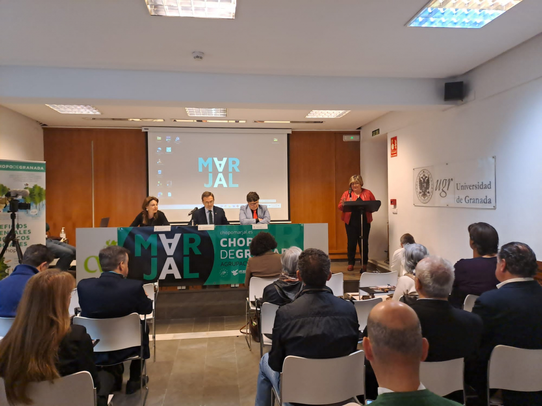 Profesores e investigadores analizan los beneficios ambientales y culturales del chopo en un seminario en el Carmen de la Victoria