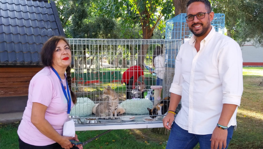 Encontrar un hogar para animales abandonados, objetivo de la IV Feria de Adopción impulsada por Diputación