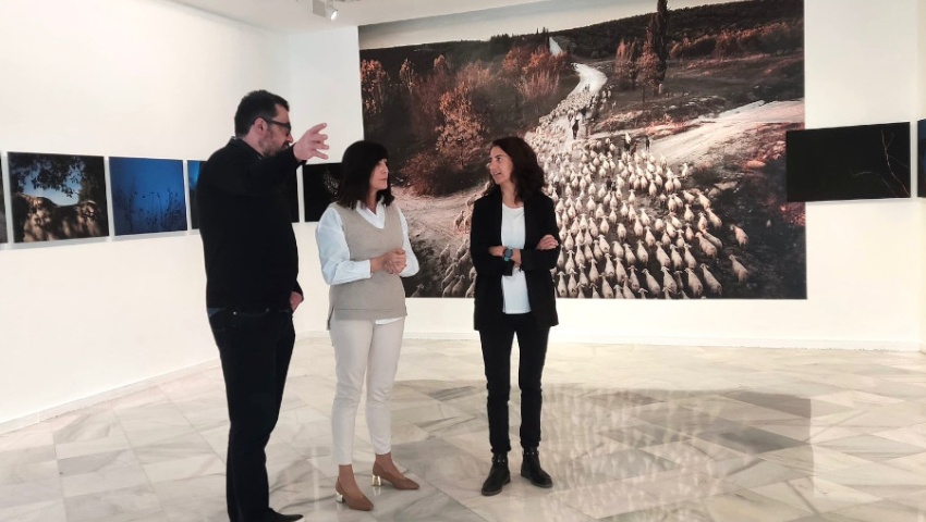 La granadina Susana Girón expone sus mejores trabajos en Condes de Gabia bajo el título “Buena sombra”