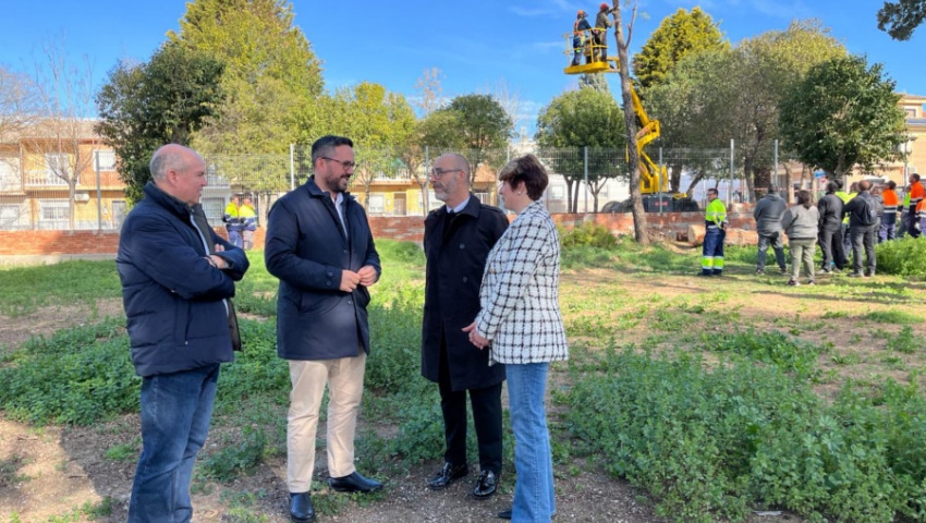 Diputación refuerza la formación especializada en poda de arbolado urbano en Albolote