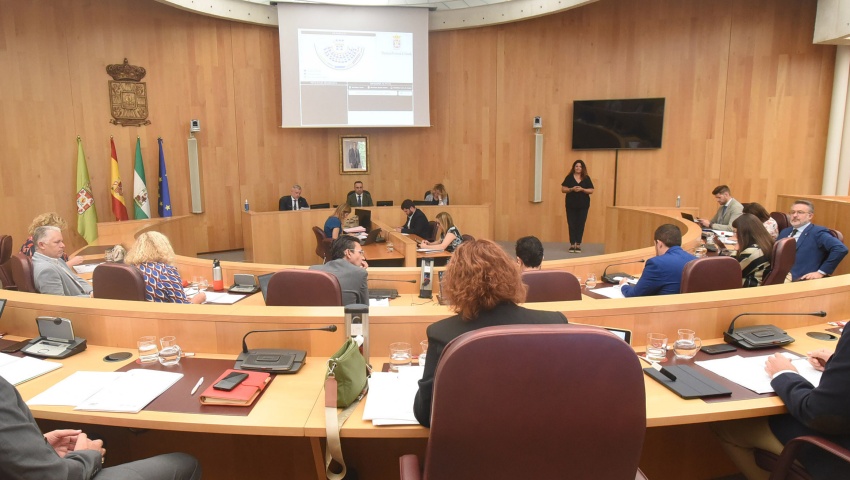 Pleno Diputación de Granada 