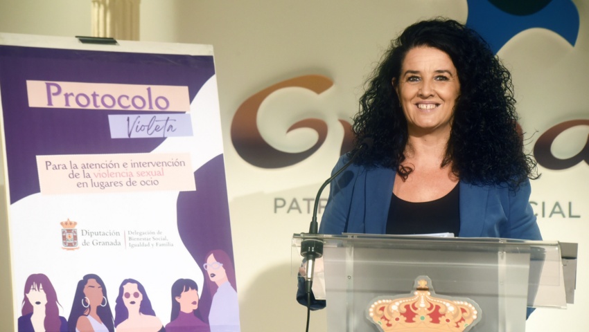 La diputada de Bienestar Social, Igualdad y Familia Elena Duque