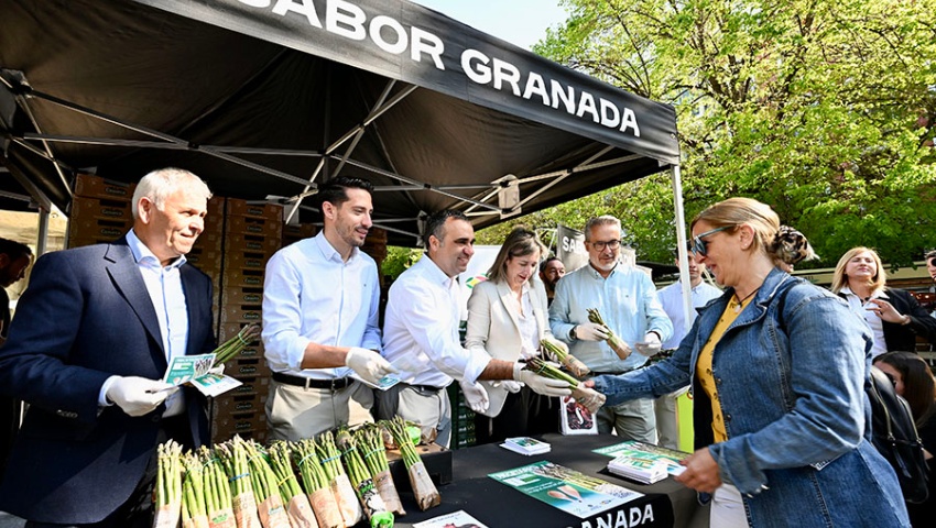 Repartidos 8.000 manojos de espárragos frescos en el centro de Granada para promocionar su consumo