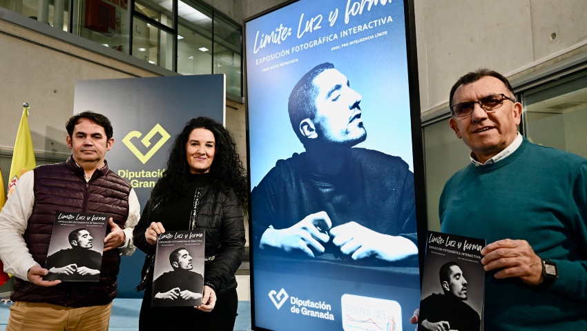 Diputación y Asociación Pro Inteligencia Límite presentan los resultados de la campaña ¿Límite: Luz y Forma¿, una iniciativa para visibilizar la discapacidad invisible