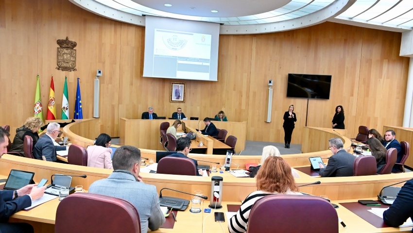 Diputación aprueba en pleno 150.000 euros para la candidatura de Granada como Capital Europea de la Cultura en 2031