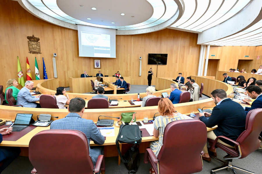 Aprobada la convocatoria del PIDE 2025 con un presupuesto inicial de 3 millones de euros