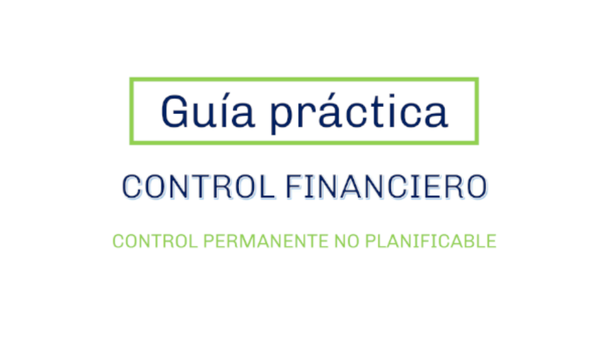 Guía práctica Control Financiero no planificable