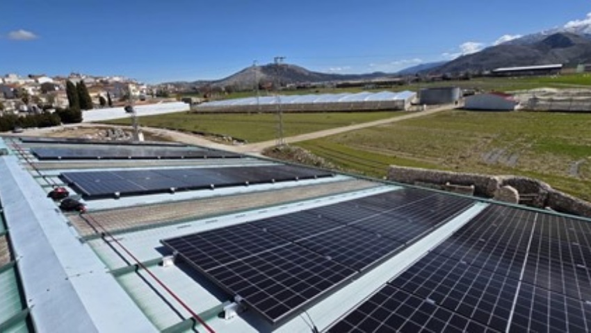 paneles solares en zafarraya