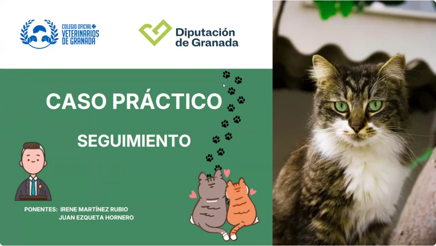 Caso práctico - Seguimiento