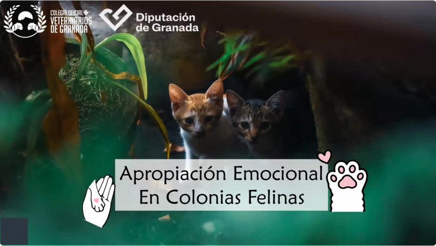 II Edición Formación Cuidadoras