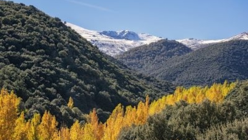 Imagen del bloque número Imagen del bloque número