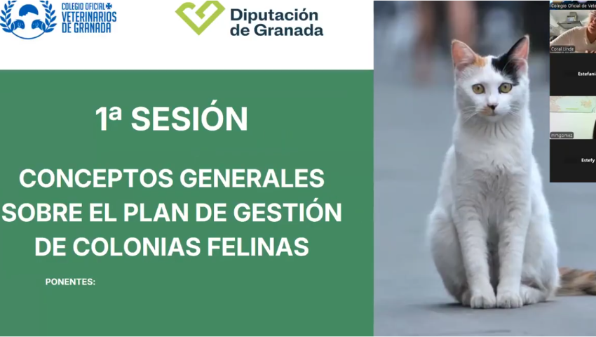 Sesión 1 Grupo 1