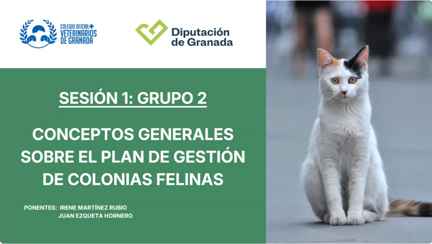 Sesión 1 Grupo 2