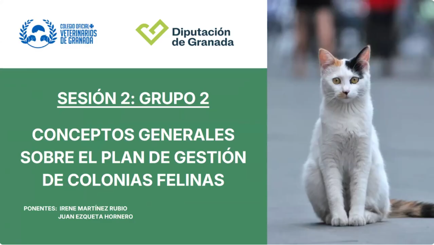 Sesión 2 Grupo 2