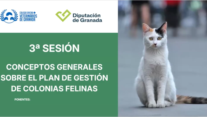Sesión 3 Grupo 0