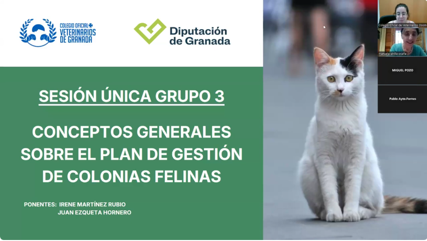 Sesión única Grupo 3