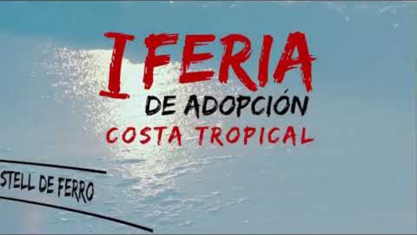 I Feria de adopción Costa Tropical, 2022