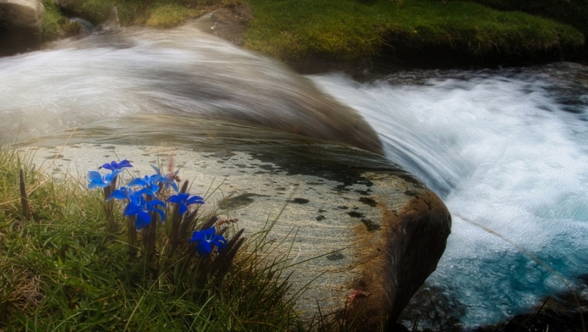 Custodia los Ríos de Granada