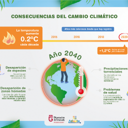 Infografía 1