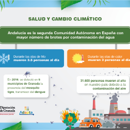Infografía 2
