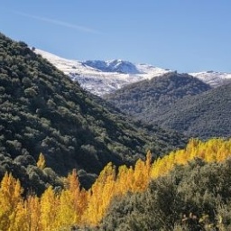 Medio Natural en Granada
