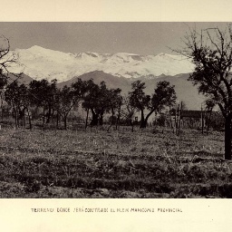 Album_Beneficencia (076)