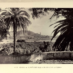 Album_Beneficencia (116)