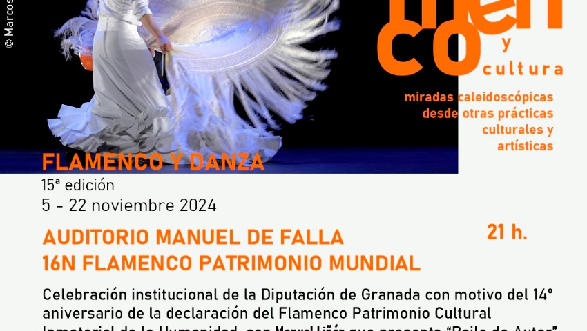 16 N FLAMENCO PATRIMONIO MUNDIAL
