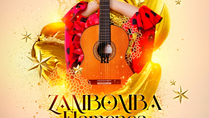 ESPECTÁCULO DE FLAMENCO