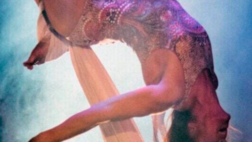 DESCUBRIENDO A HOLLY, Cia. Dani Daniel