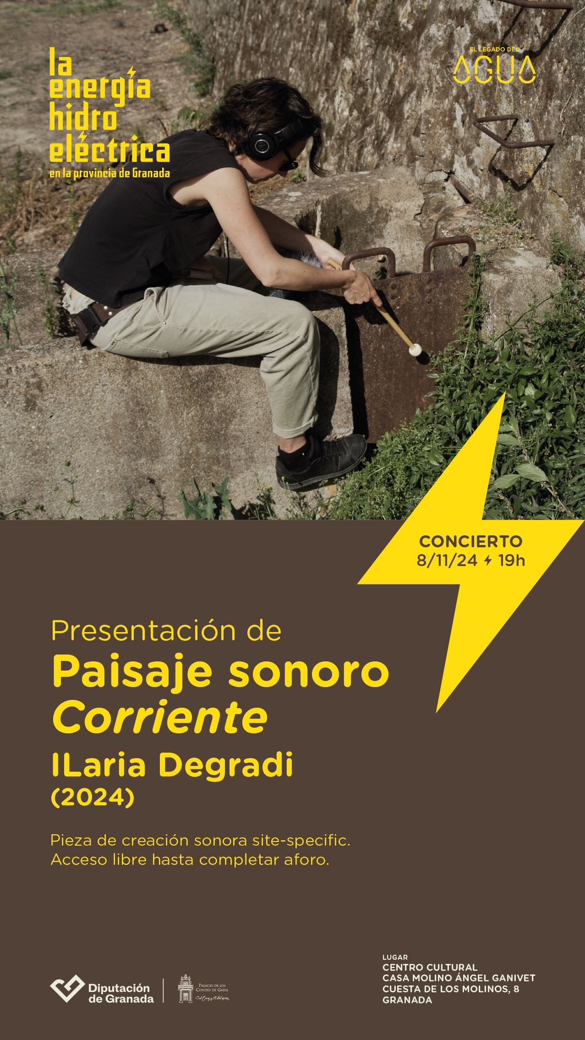 cartel del evento