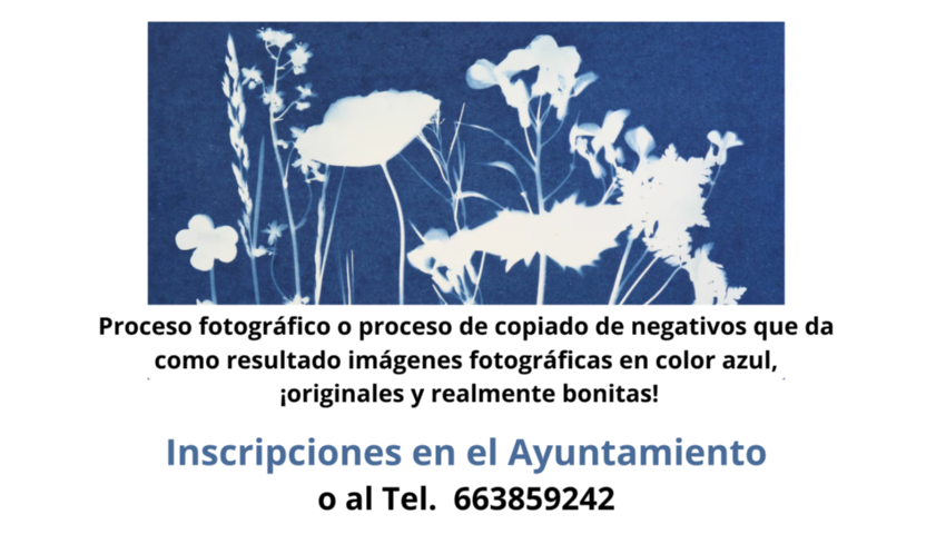 TALLER DE CIANOTÍPIA