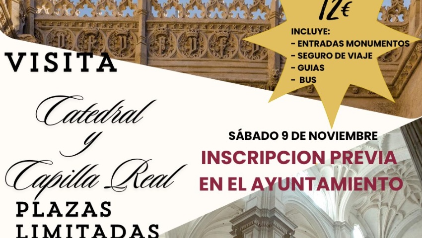 Visita guiada a la Capilla Real y Catedral de Granada.