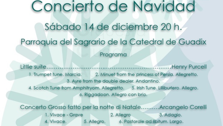ORQUESTA CIUDAD ACCITANA.GUADIX