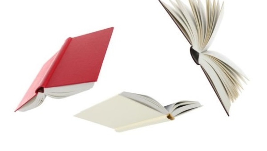 Biblioteca y Cultura