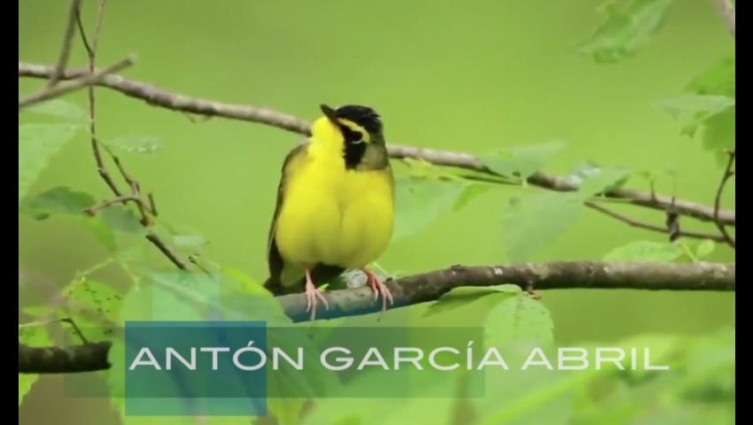 "ANTÓN GARCÍA ABRIL" INTERNATIONAL CHAMBER MUSIC COMPETITION