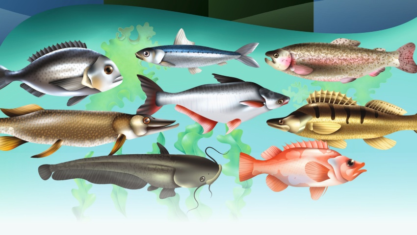 Circuito Provincial de Pesca