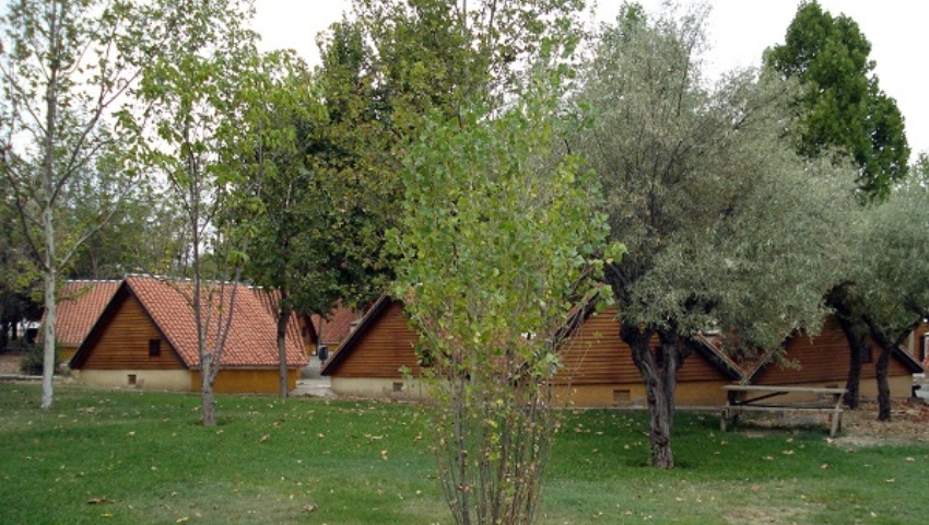 Campaña de Verano