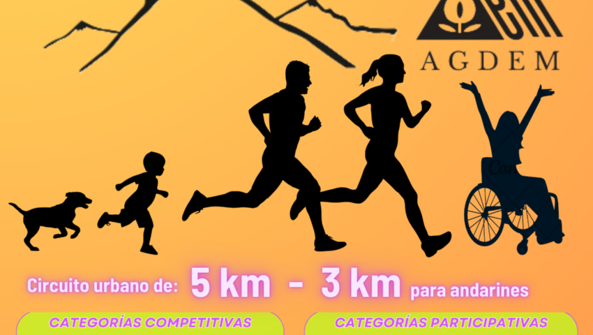 CARTEL CARRERA SOLIDARIA ESCLEROSIS MULTIPLE