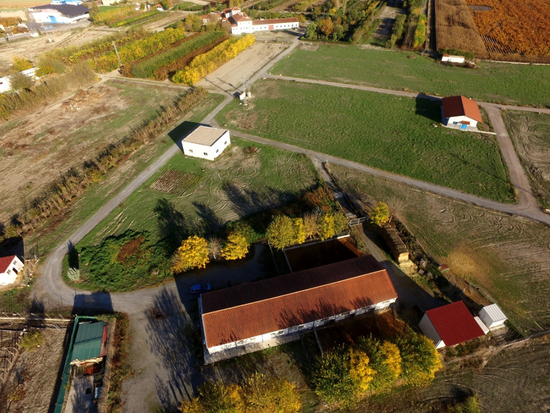 Cortijo Peinado Cortijo Peinado
