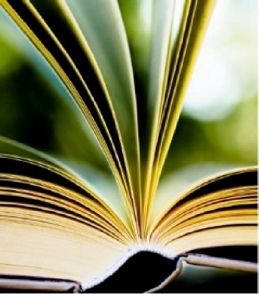 Biblioteca Viajera