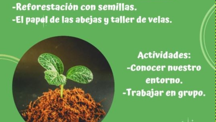 Taller de Educación Medio Ambiental. (Turón).
