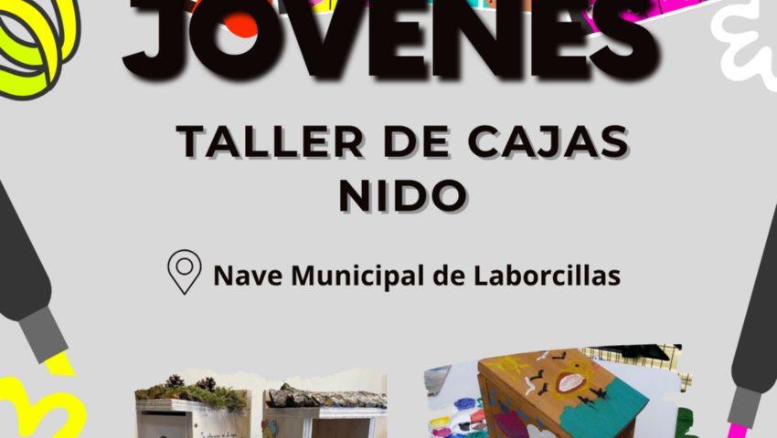 JUVENTUD 2025 PROGRAMA 2004 TALLER "CAJAS DE NIDO" EN LABORCILLAS.