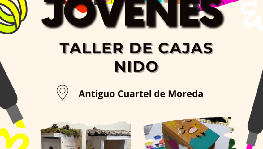 JUVENTUD 2025 PROGRAMA 2004 TALLER "CAJAS DE NIDO" EN MOREDA.
