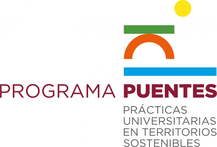Programa PUENTES