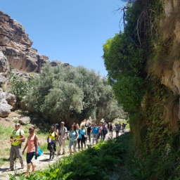 ACEQUIA DEL TORIL